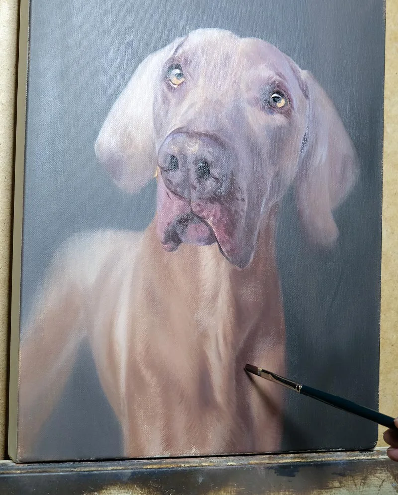 Refining Features - Weimaraner Painting in Progress Refining features of the Weimaraner painting in progress, focusing on facial details