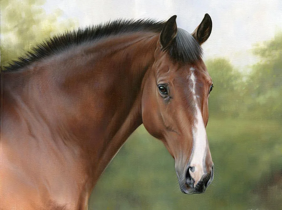 Equine oil portrait of Cheeky the horse by Nicholas Beall