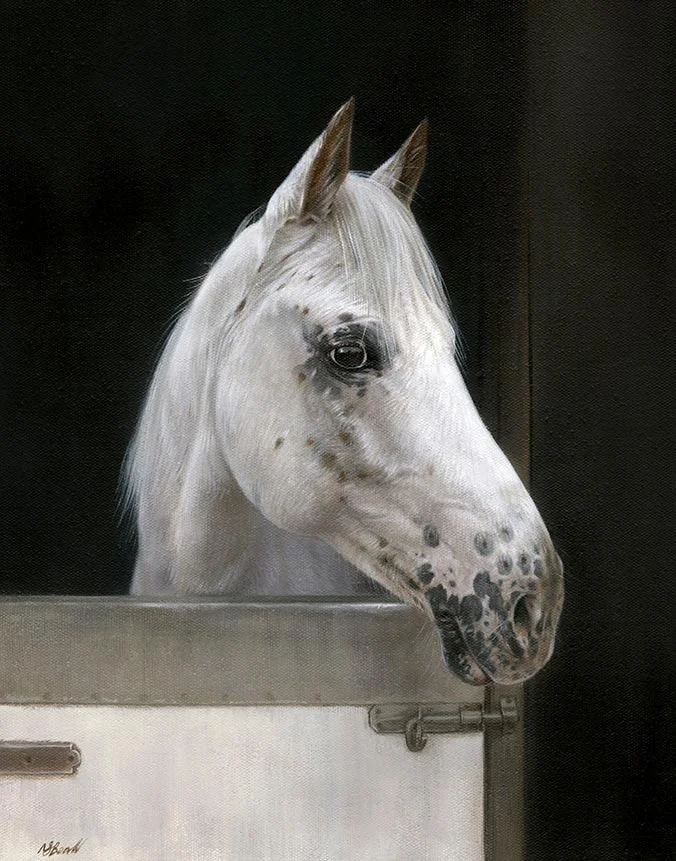 Equine oil portrait of Ariel the horse by Nicholas Beall