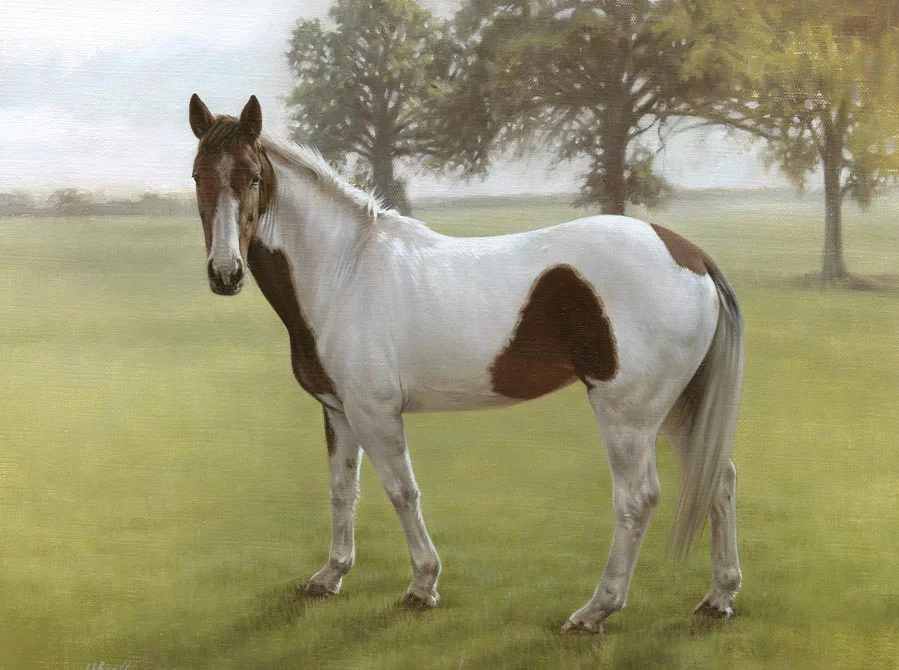 Horse Landscape Painting of Gypsy Completed horse landscape painting of Gypsy, a horse, looking calm and alert in a field.