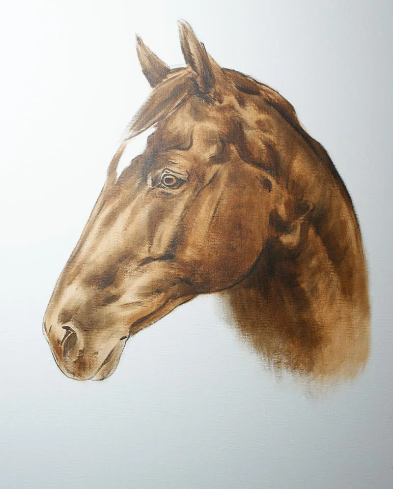 Horse Portrait of George - Early Stages Horse portrait of George in early painting stages, showing the initial sketch.