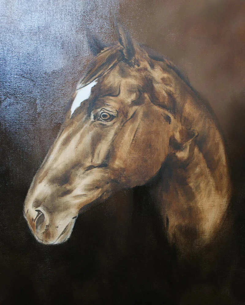 Horse Portrait of George - Work in Progress Horse portrait of George work in progress, with developing features.