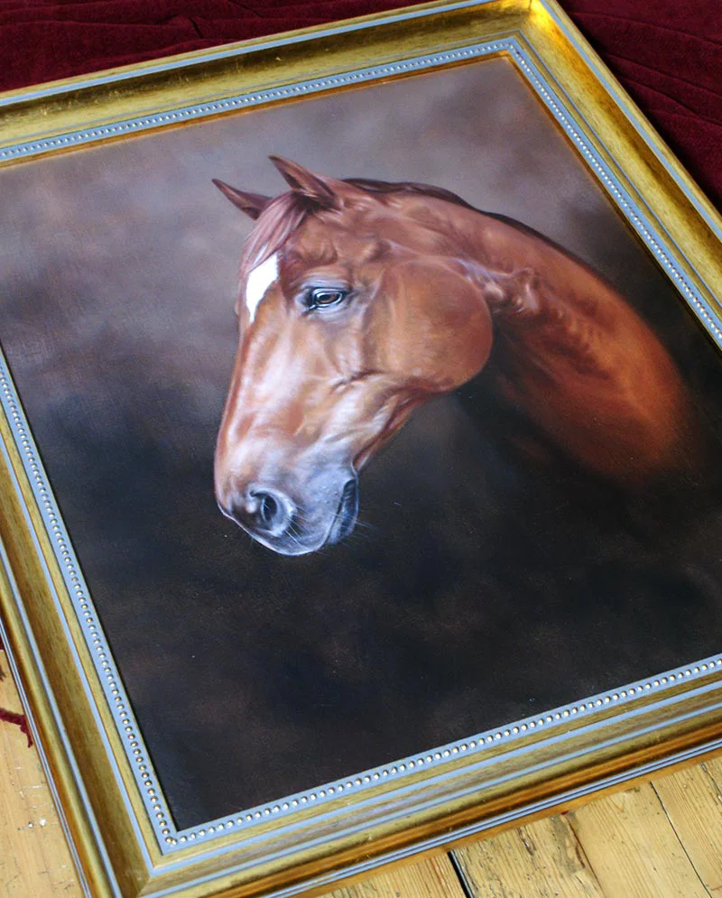 Framed Horse Portrait of George Framed horse portrait of George, ready for display.