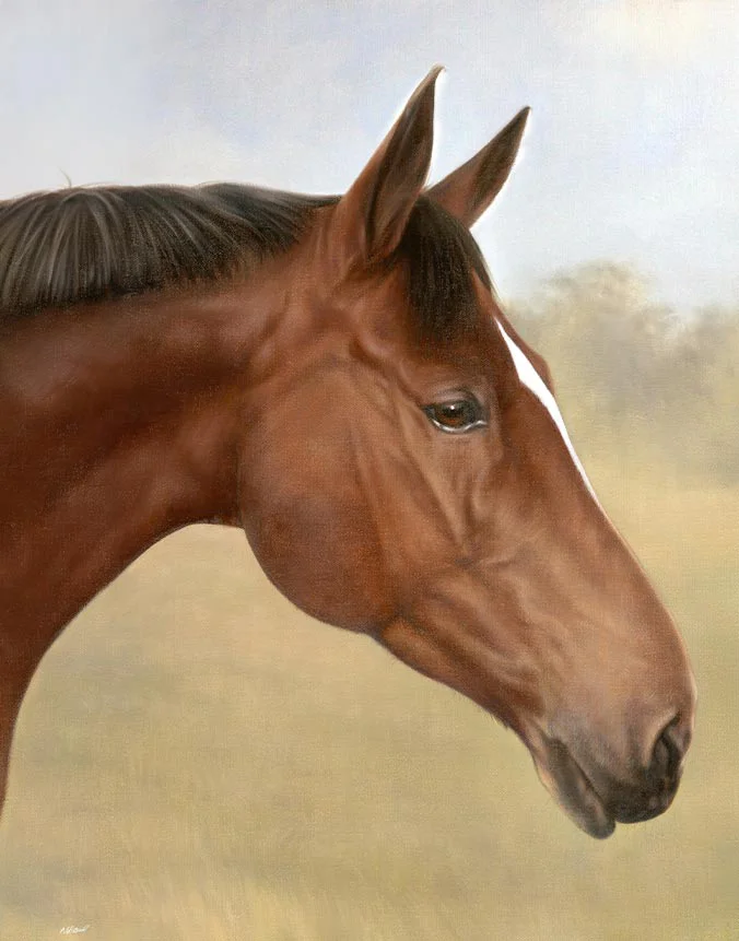 Oil portrait of Tequilla (Donny) the horse on linen canvas by Nicholas Beall