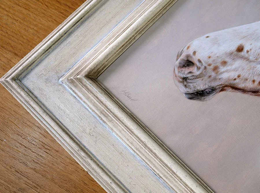 Framed Oil Portrait of Spotted Horse Framed oil portrait of a spotted horse, ready for gifting.