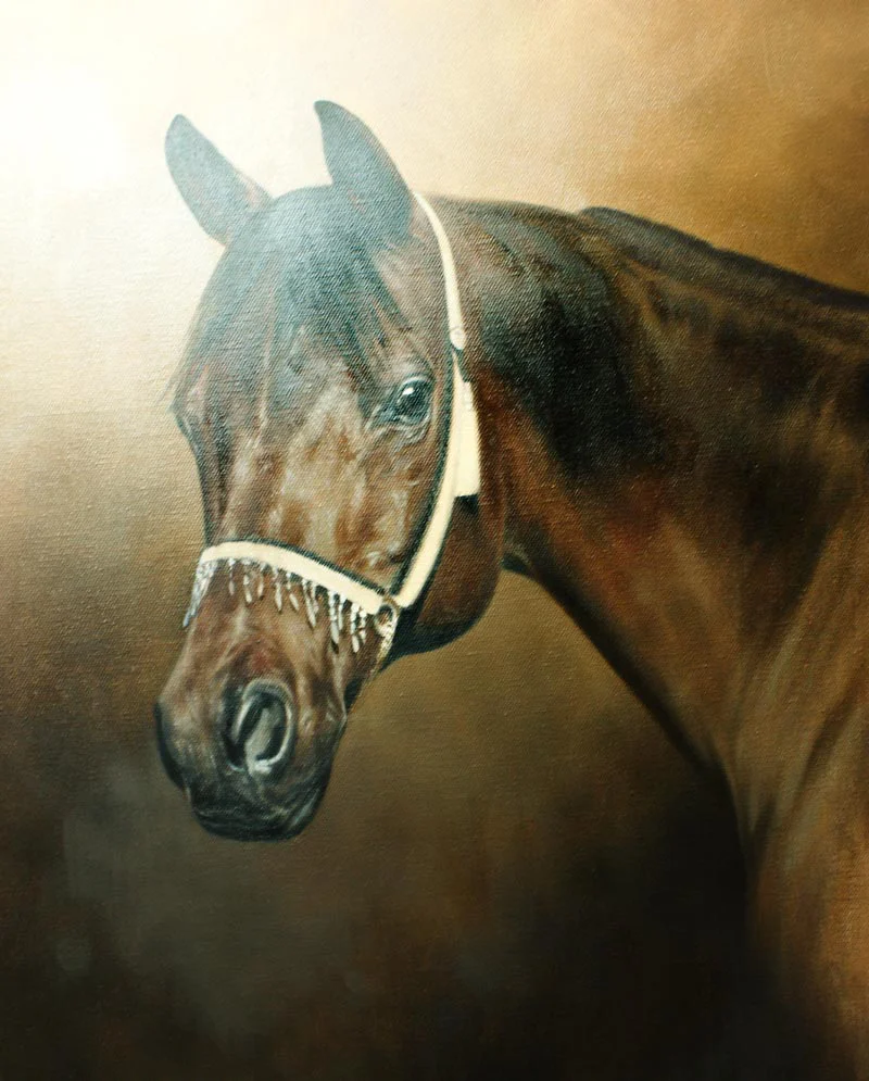 Horse Portrait in Oils – Kharisma’s Progress Shot Horse portrait of Kharisma in oils, showing an advanced progress shot with intricate details.