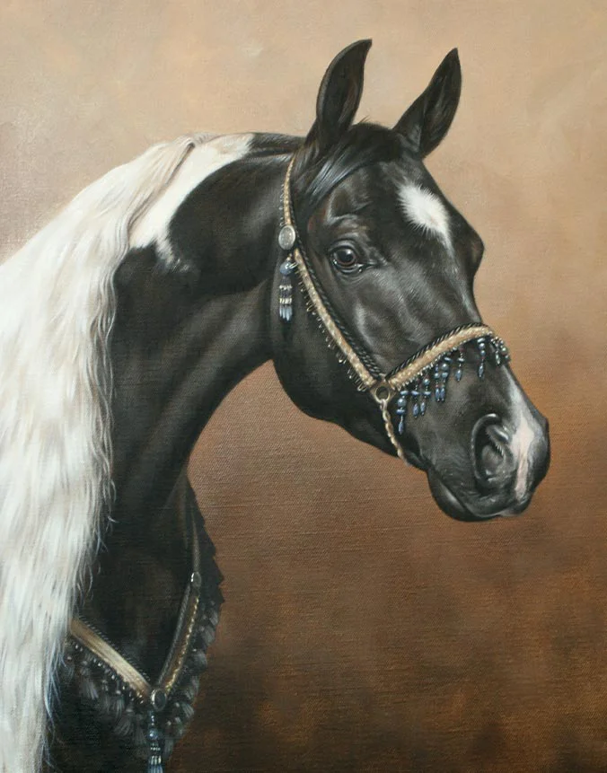 Oil horse portrait of Beau by Nicholas Beall on canvas