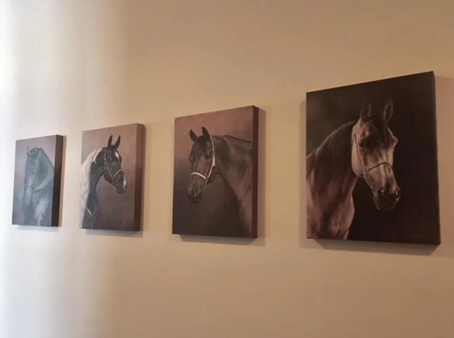 Large Oil Painting in oils Finished Horse Portrait of Remy