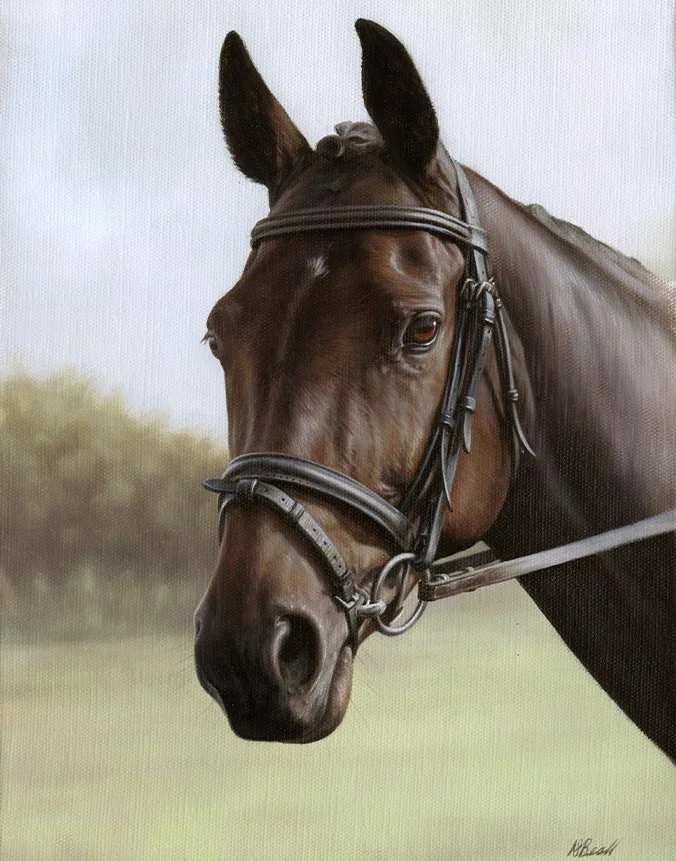 Oil portrait of Leah the horse with tack on canvas by Nicholas Beall