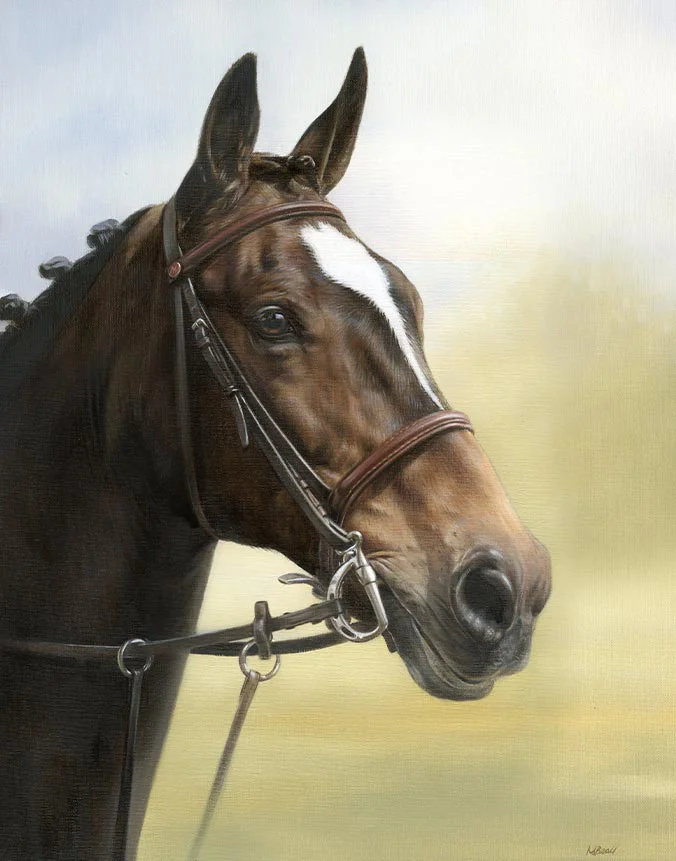 Oil portrait of Ebony the horse by Nicholas Beall