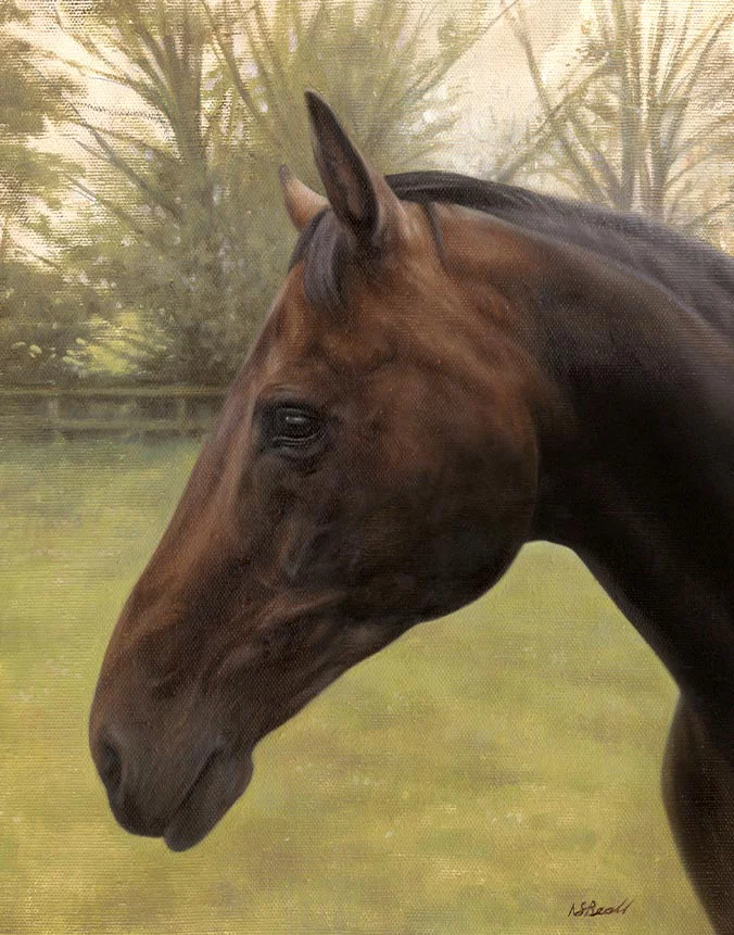 Oil portrait of Kewlia the horse by Nicholas Beall