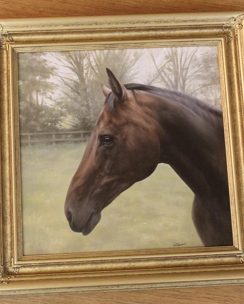 Framed Horse Portrait in Oils Framed Horse Portrait in Oils