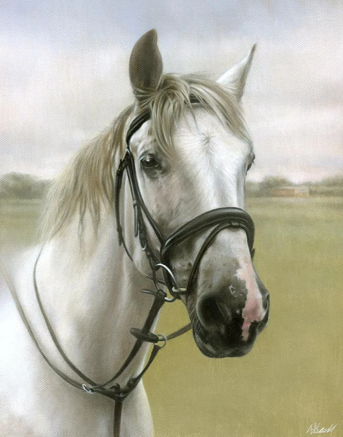 Oil pet portrait of Radley the horse by Nicholas Beall