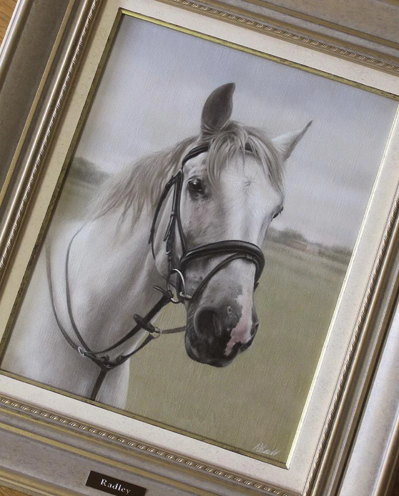 Framed Horse Portrait in Oils Framed horse portrait of Radley in oils.