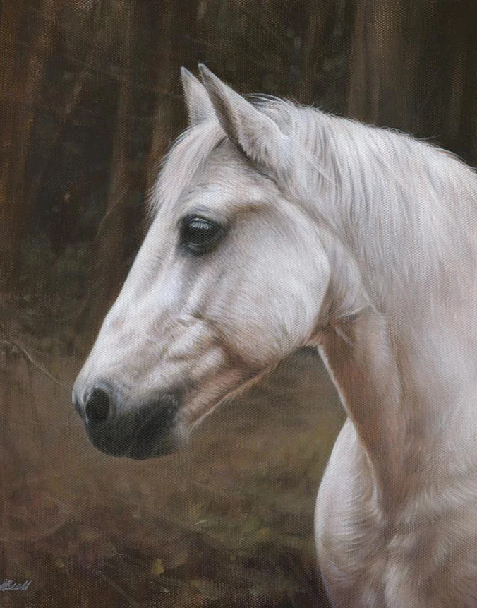 Vibrant oil pet portrait of Chico the horse by Nicholas Beall