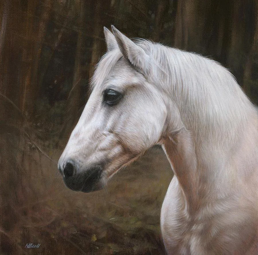 Chico Horse oil painting Chico's oil portrait, showing autumnal background.