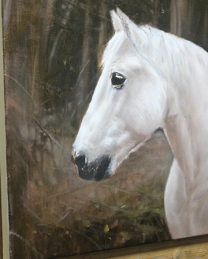 Detail of Horse Portrait in Oils Detail of the horse portrait of Chico in oils, highlighting features.