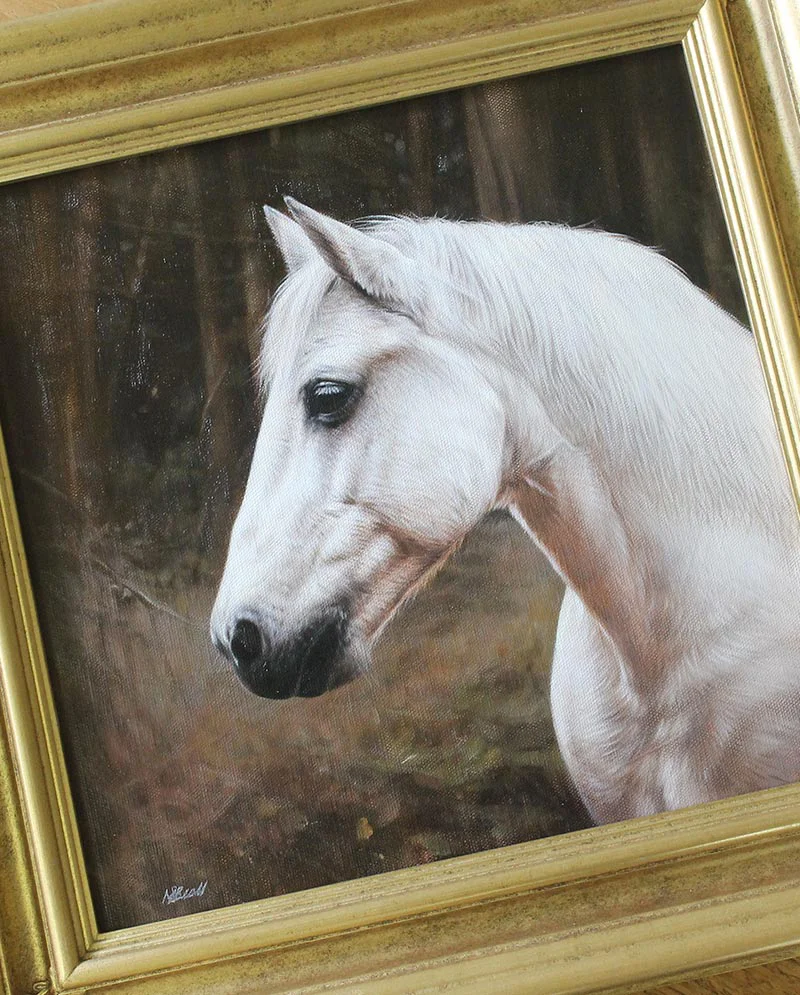 Framed Horse Portrait in Oils Framed horse portrait of Chico in oils, ready for display.