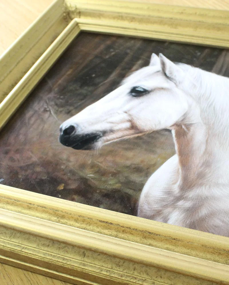 Equine Oil Painting Framed and Displayed Equine oil painting of Chico, framed and displayed.