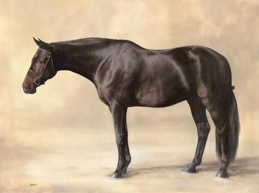 Full-body oil portrait study of Lockheart the horse by Nicholas Beall