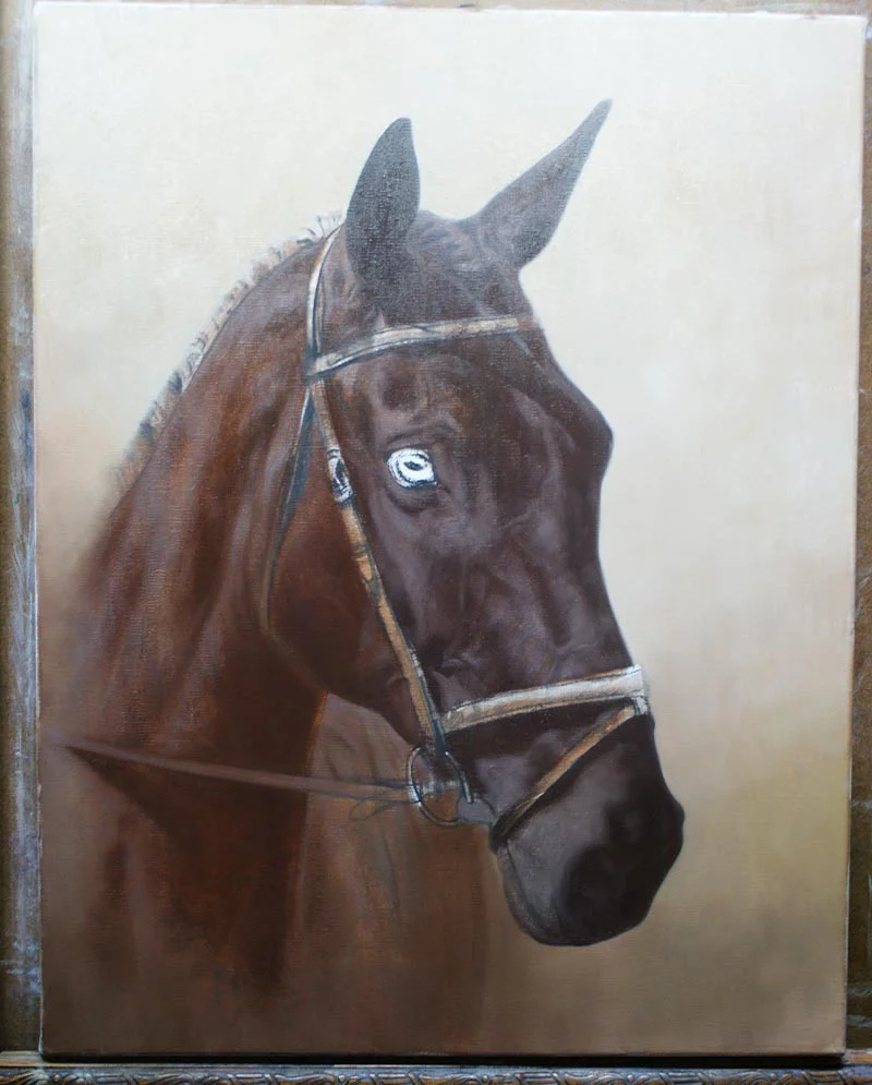 Equine Oil Painting in Progress Equine oil painting of Harry in progress, showing developing features.
