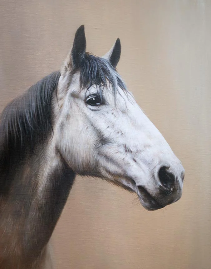 Oil horse portrait of Carina, a beautiful equine painting by Nicholas Beall