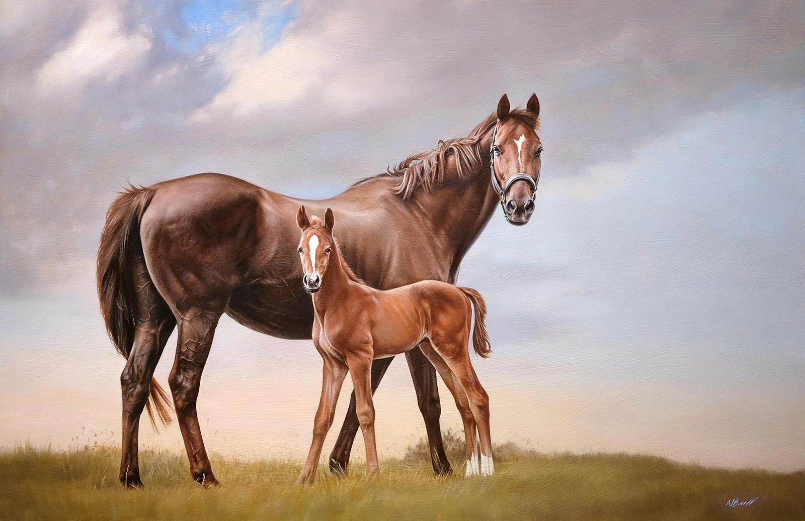 Detailed collection of horse portraits in oil commissions Multiple examples of finished horse portraits in oils by Nicholas Beall