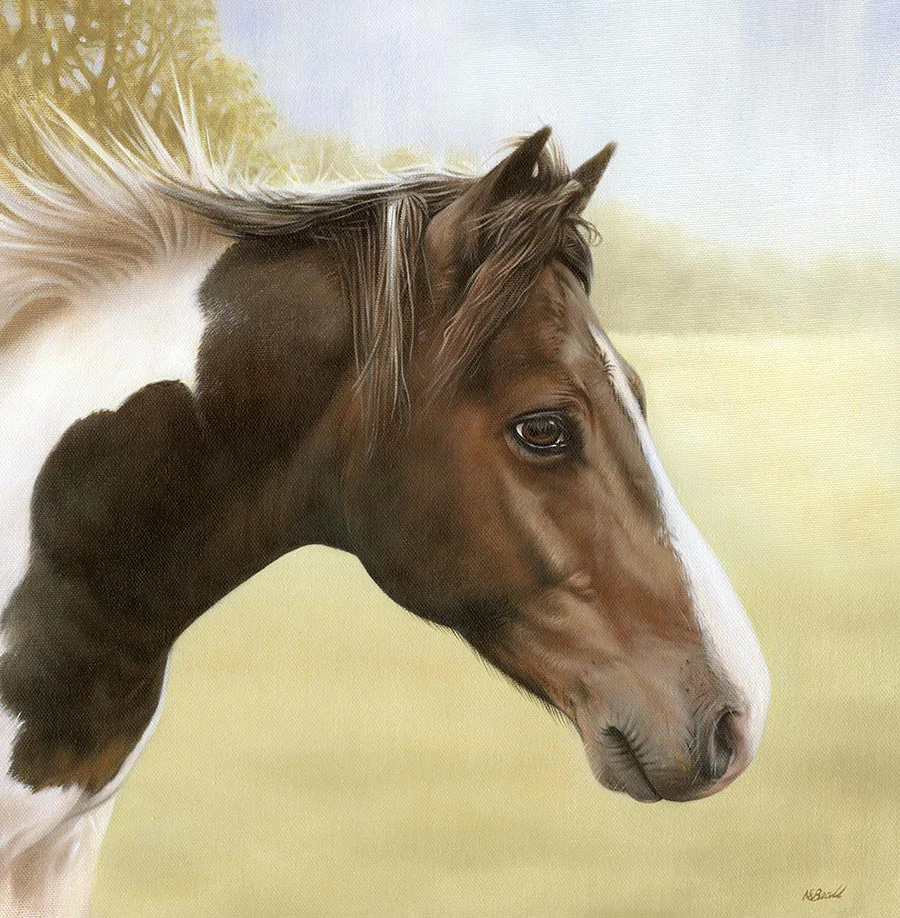 Horse Portrait Murphy the horse by a fence and gate for his oil portrait.