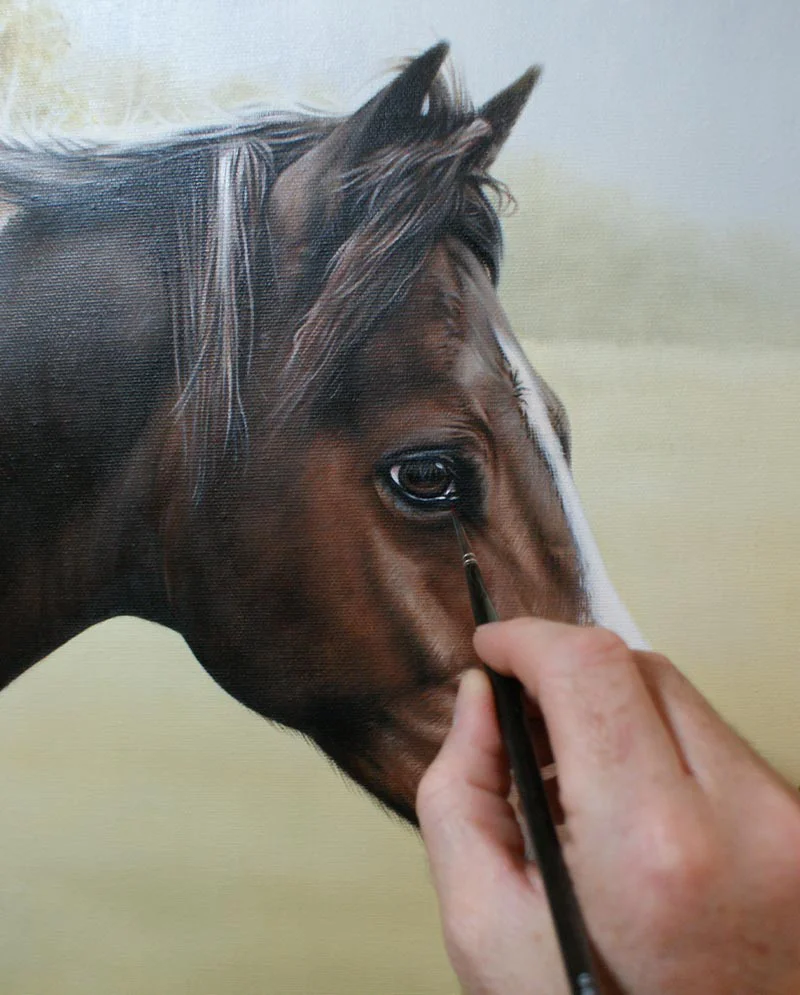 Horse Portrait in Oils – Work in Progress Horse portrait in oils showing continued work in progress.