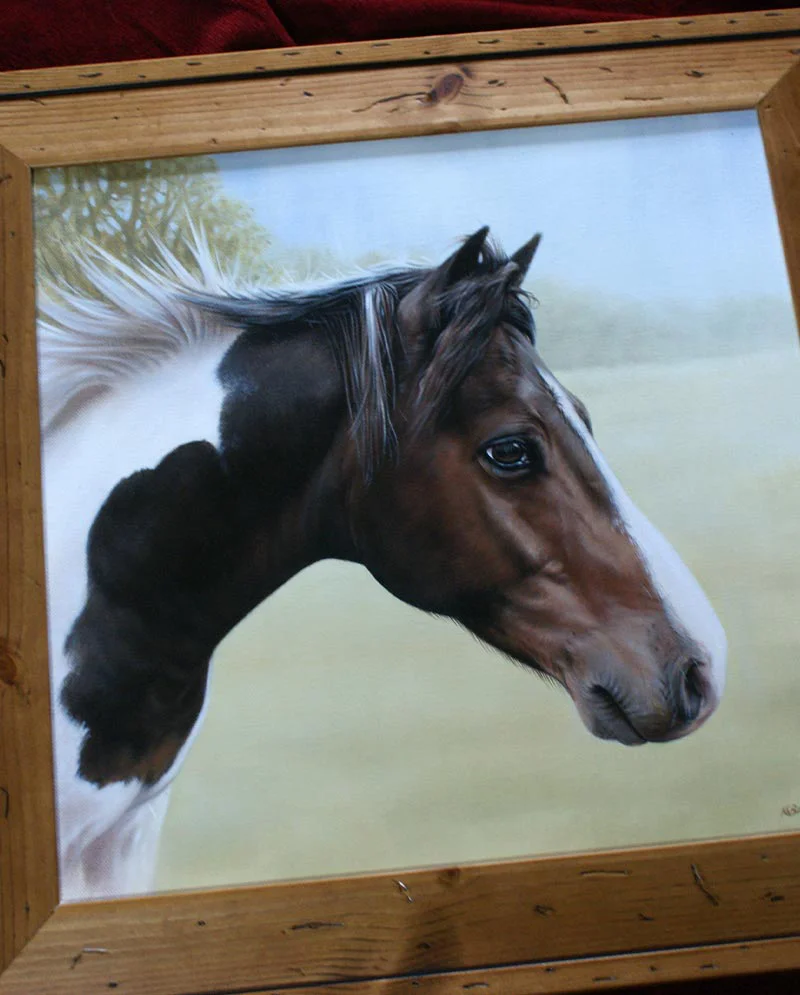 Framed Horse Portrait in Oils Framed horse portrait of Murphy in oils.