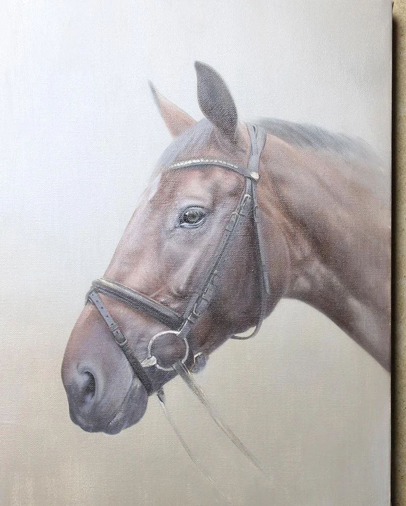 Detail Work Begins – Inca’s Portrait Detail work beginning on Inca’s horse portrait.