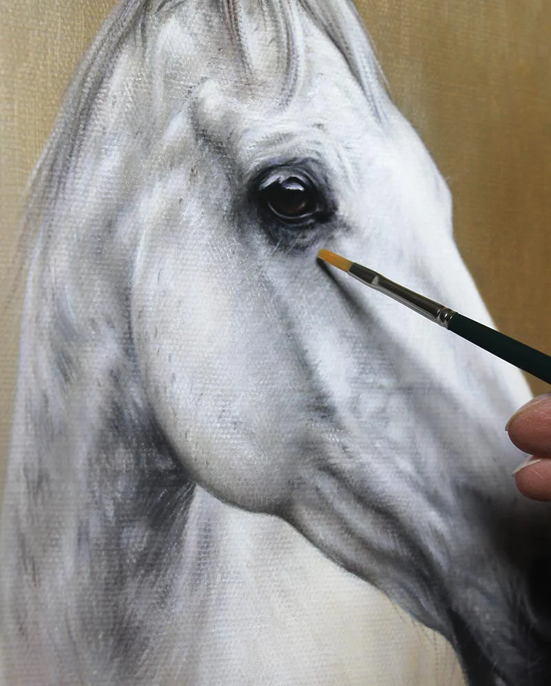 Horse Portrait Detail - Oil Painting in Progress Close-up detail of the oil painting of Artu the horse in progress, highlighting the rendering of his fur and eye.