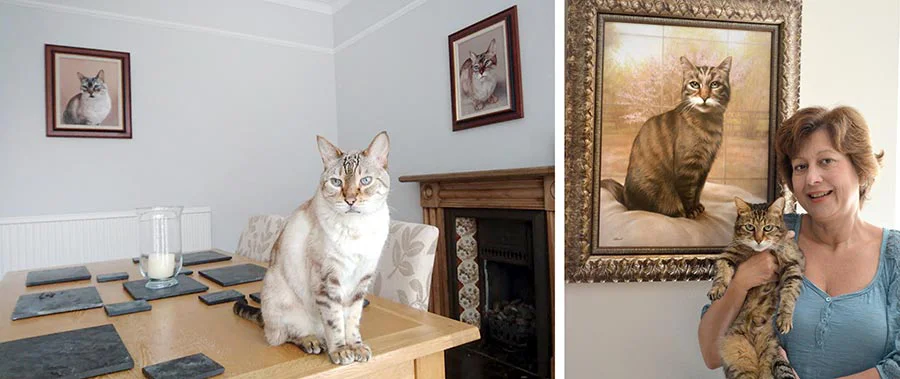 Commission Cat Portraits – Illustrations for Packaging and Products A collection of professional cat portrait illustrations suitable for commissions and commercial use.
