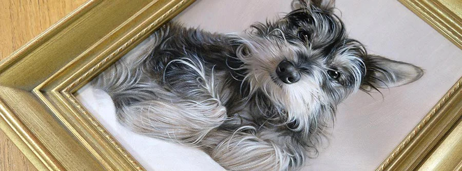 Frequently Asked Questions - Commission a Portrait An illustration depicting various questions and answers related to commissioning a pet portrait, representing FAQs by Nicholas and Melanie.