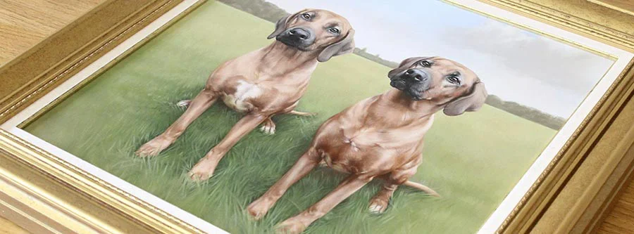Frequently Asked Questions - Questions about a Portrait An illustration representing frequently asked questions specifically about pencil drawings and oil paintings for pet portraits.