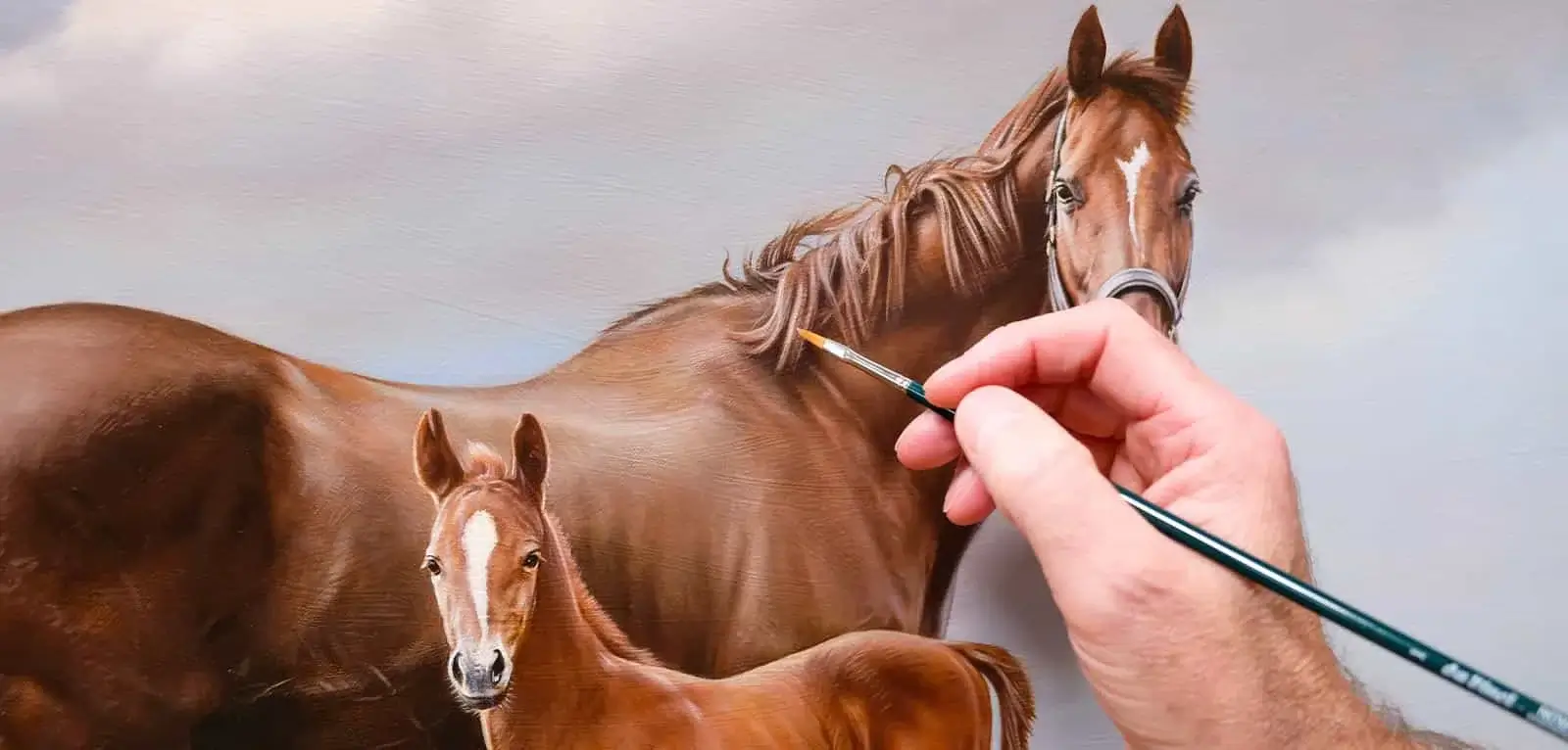 Pencil Pet Portraits Framed