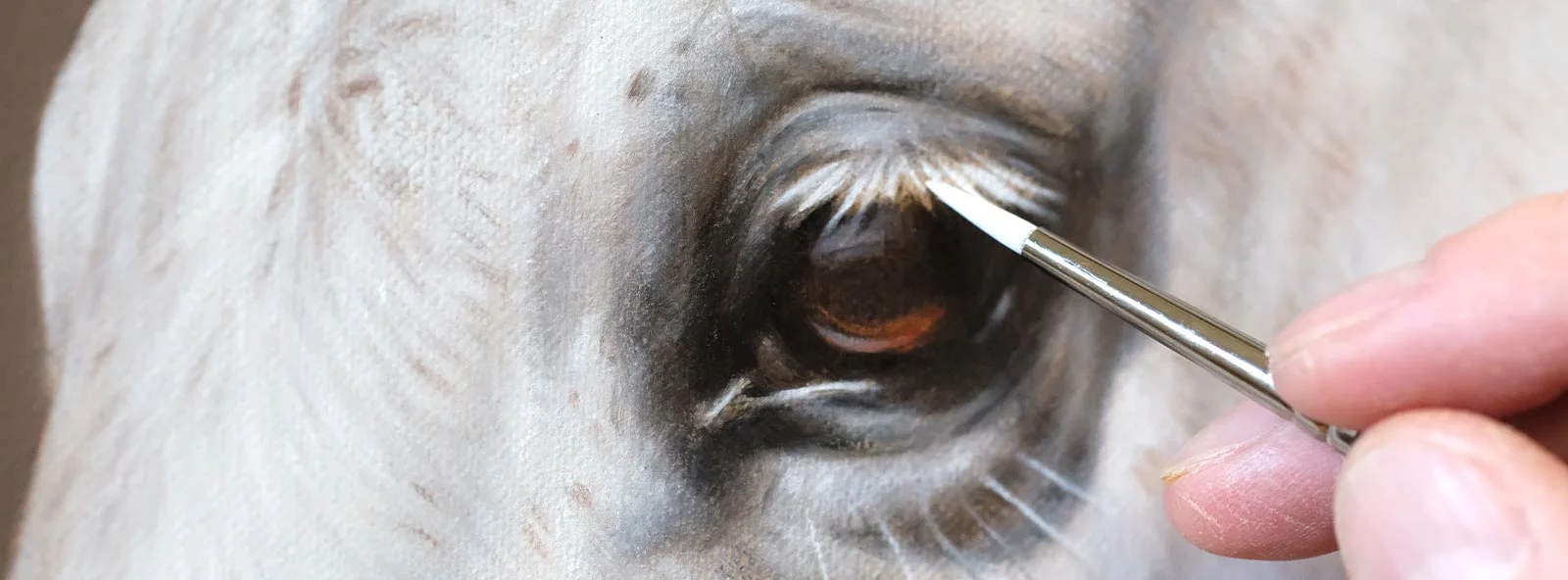 Visual guide to the pet portrait commissioning process, showing each stage from inquiry to delivery. A graphic representation of the pet portrait commission process, outlining steps for clients.