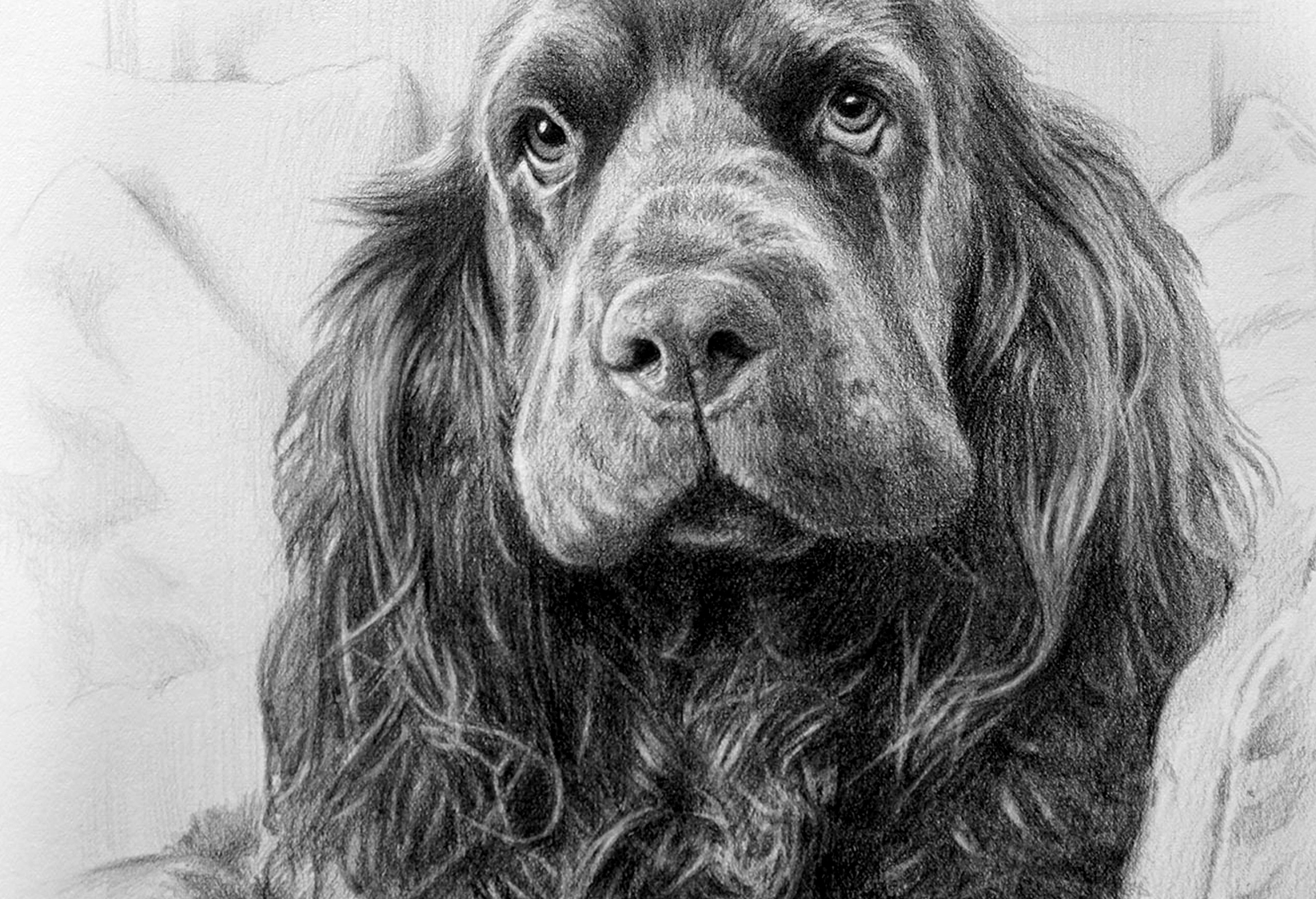 Close up detail of a Melanie Phillips pencil drawing showing individual fur strands in graphite