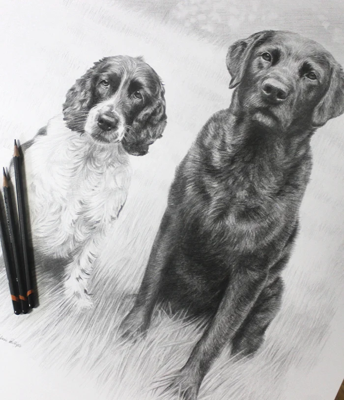 Drawing a dog choosing between oil and pencil Advice