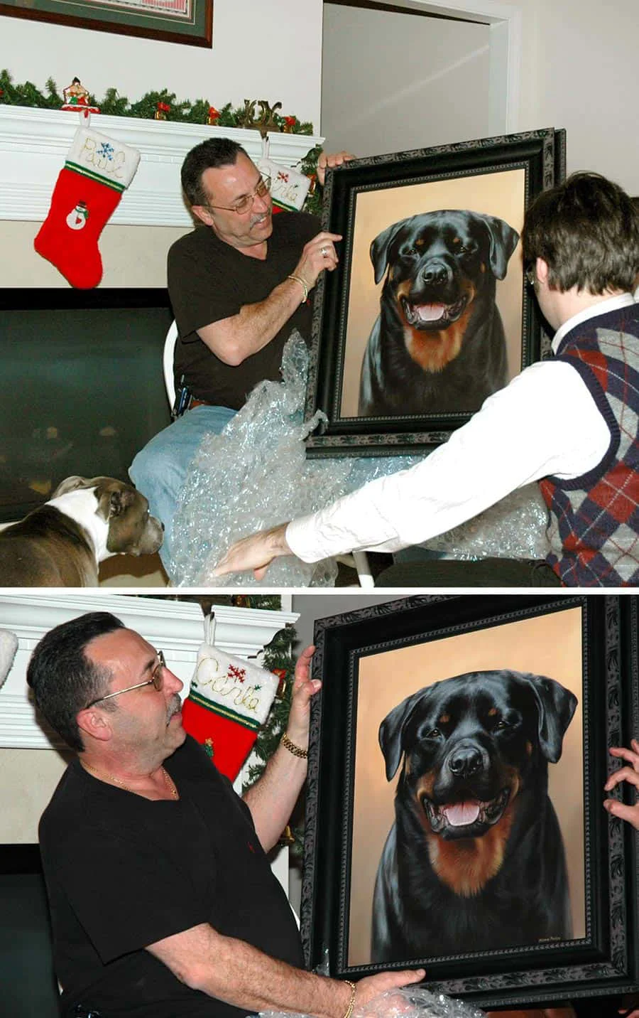 Christmas surprise: 24x18 inch oil painting of Lothur the Rottweiler by Nicholas Beall Lothur the Rottweiler oil painting gift being unwrapped at Christmas