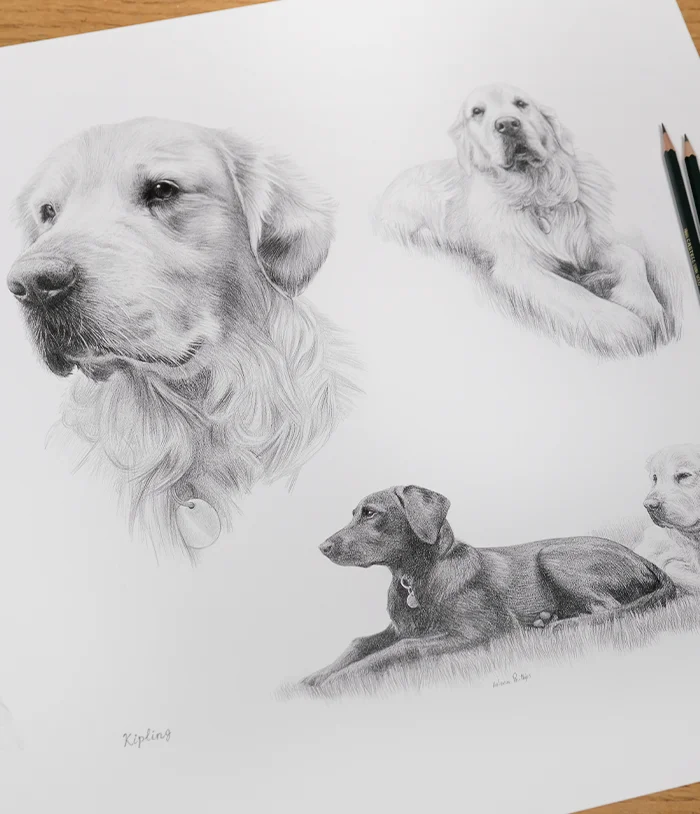 Process of creating Life Story pet portraits showing design and planning stages