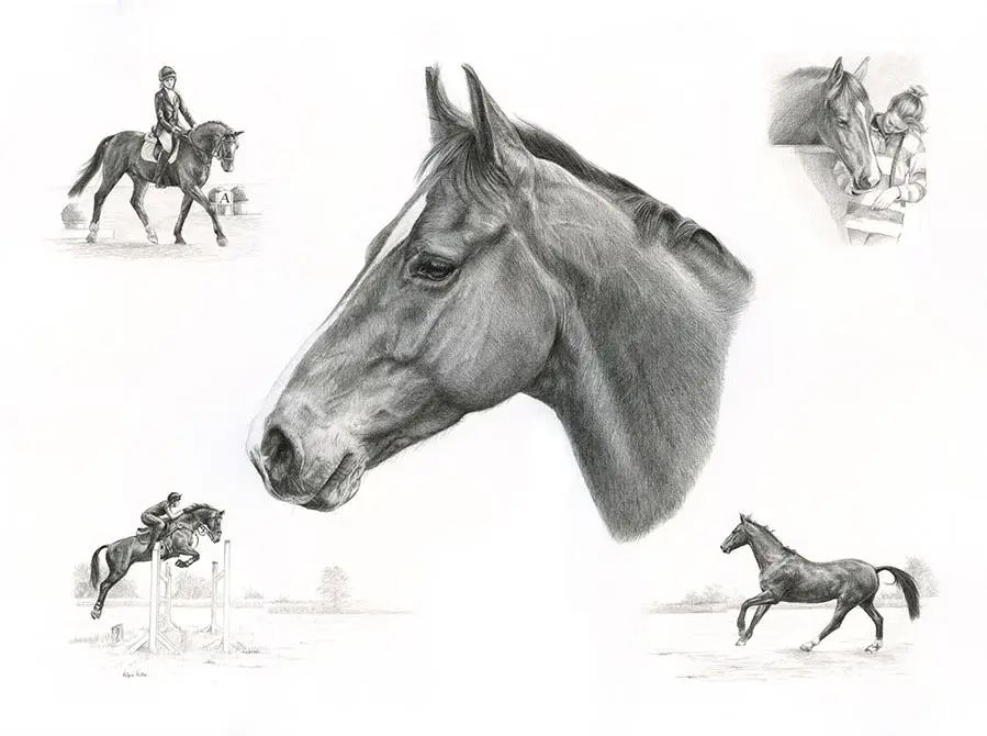 Rose's graceful Life Story drawing showcasing this beautiful horse's elegance and spirit