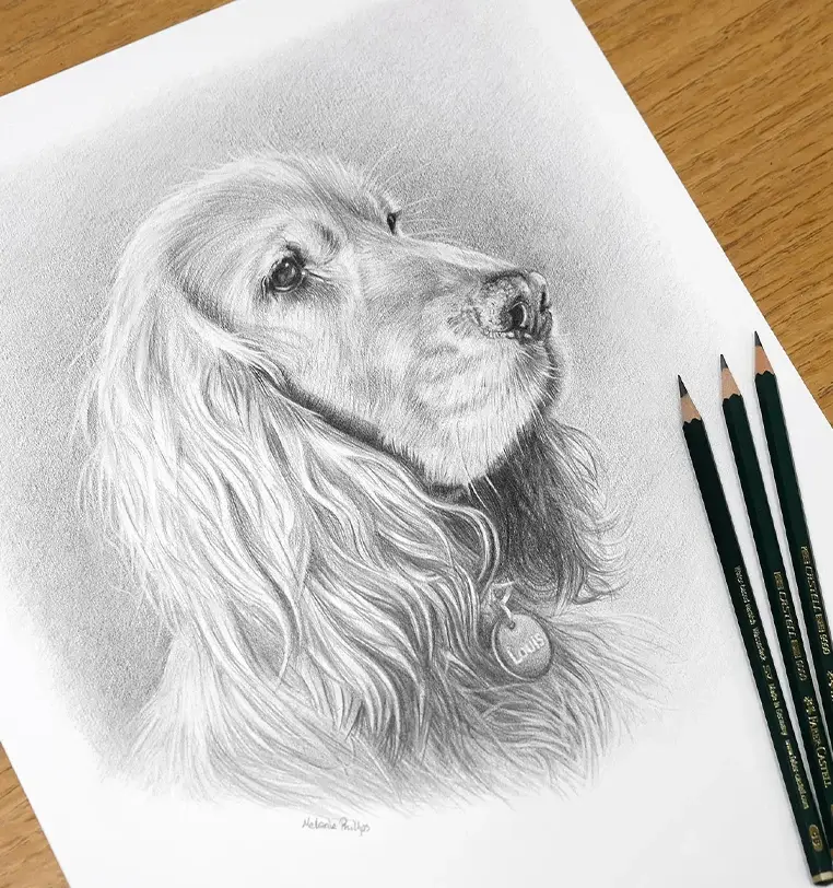 Memorial pet portrait in pencil with loving tribute to Louis