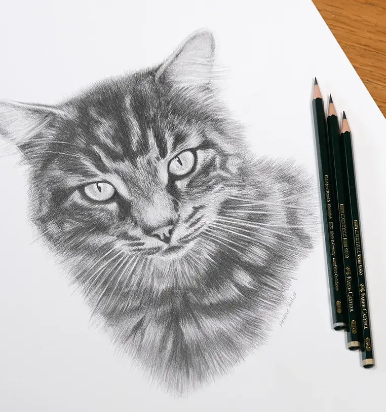 Memorial cat portrait in pencil honoring faithful companion, beautiful tribute by Melanie Phillips