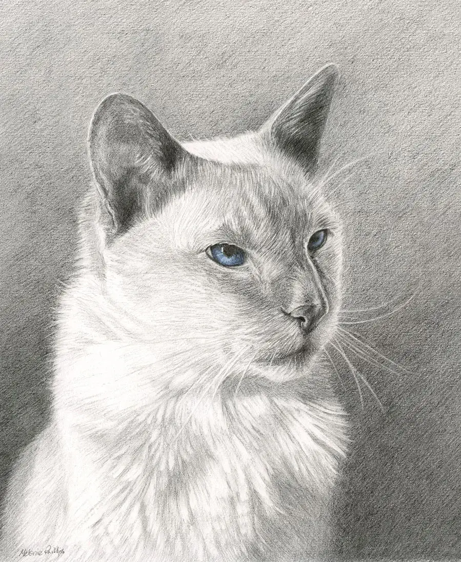 Pencil portrait of Max, a cat, capturing his thoughtful gaze.