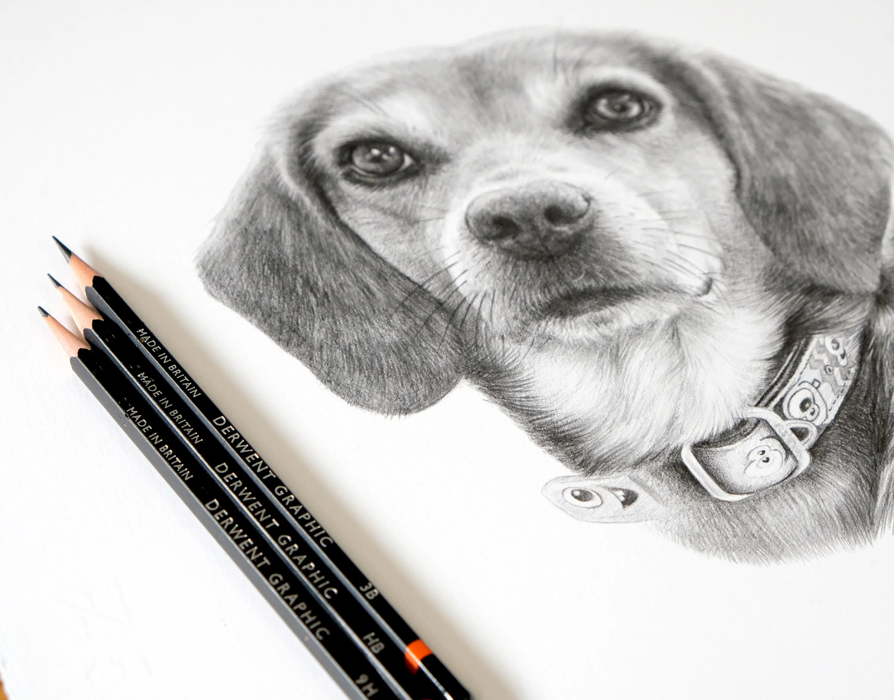 Beagle Portrait in Pencil by Melanie Phillips – Lifelike Dog Drawing with Derwent Pencils Close-up of a lifelike Beagle's face in pencil, showing intricate details, with graphite pencils positioned on the left.