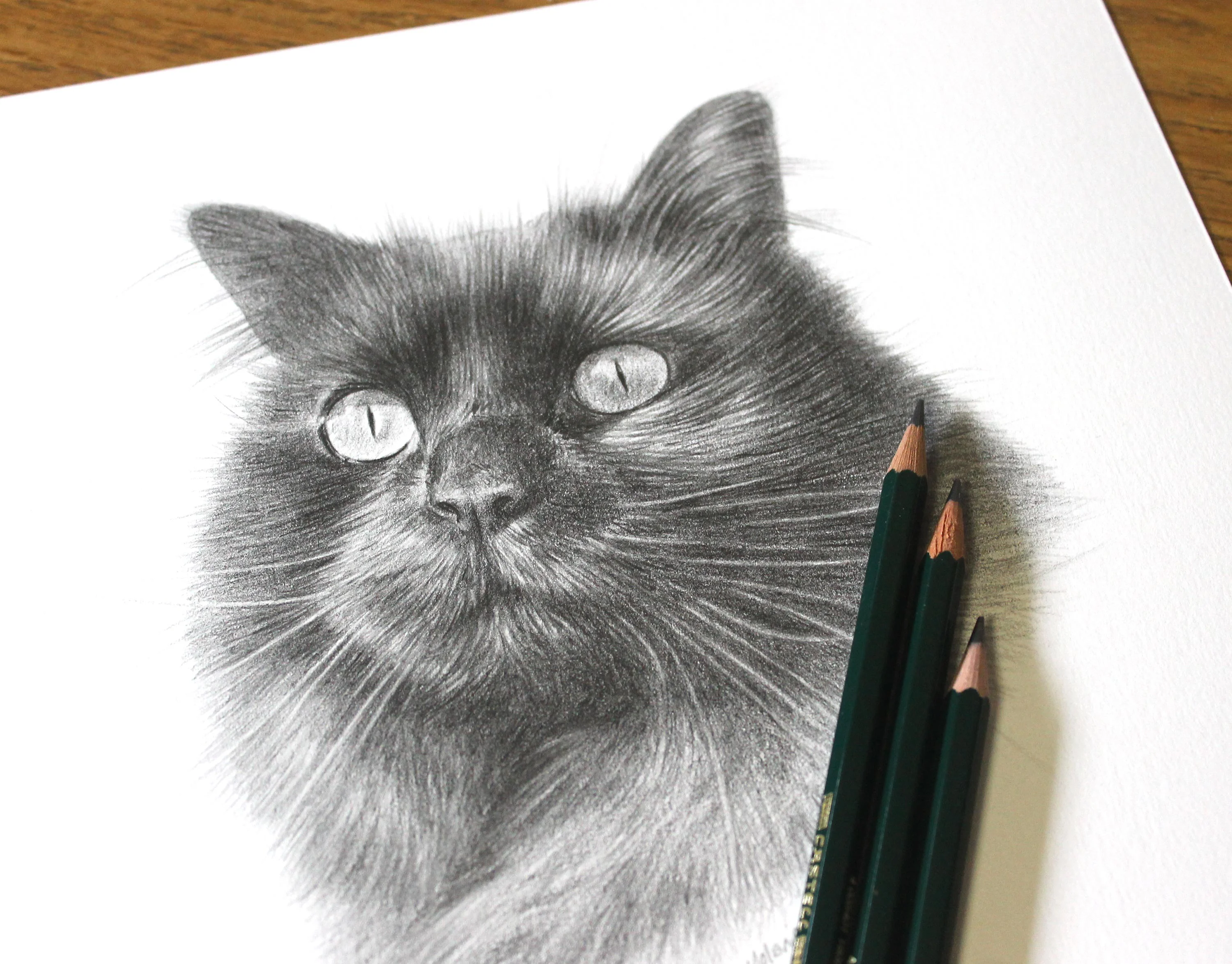 Black Cat Pencil Portrait by Melanie Phillips – Custom Pet Drawing in Graphite Lifelike pencil drawing of a long-haired black cat, Penny, with three dark green graphite pencils resting beside the artwork.