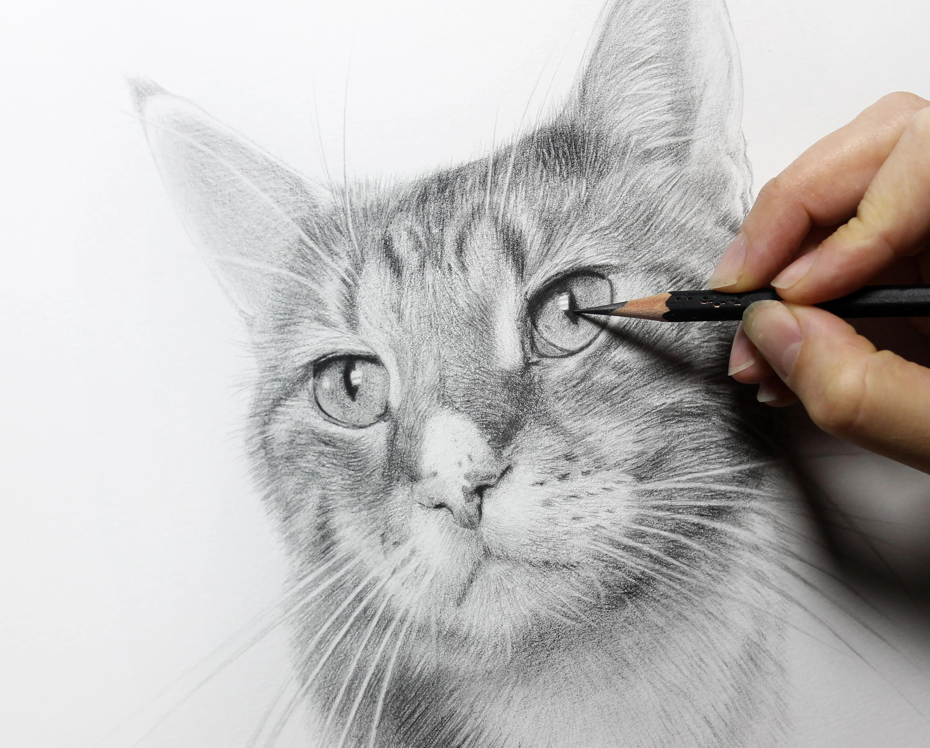 Client Kim with Framed Tabby Cat Pencil Portrait by Melanie Phillips Smiling woman standing proudly beside a framed pencil portrait of her tabby cat, Tyson.