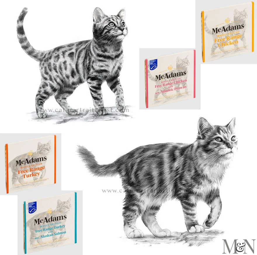 Cat Portrait Illustrations for McAdams Pet Food Packaging – By Melanie Phillips Professional illustrations of two cats in a slightly looser pencil style, used for McAdams pet food packaging designs.