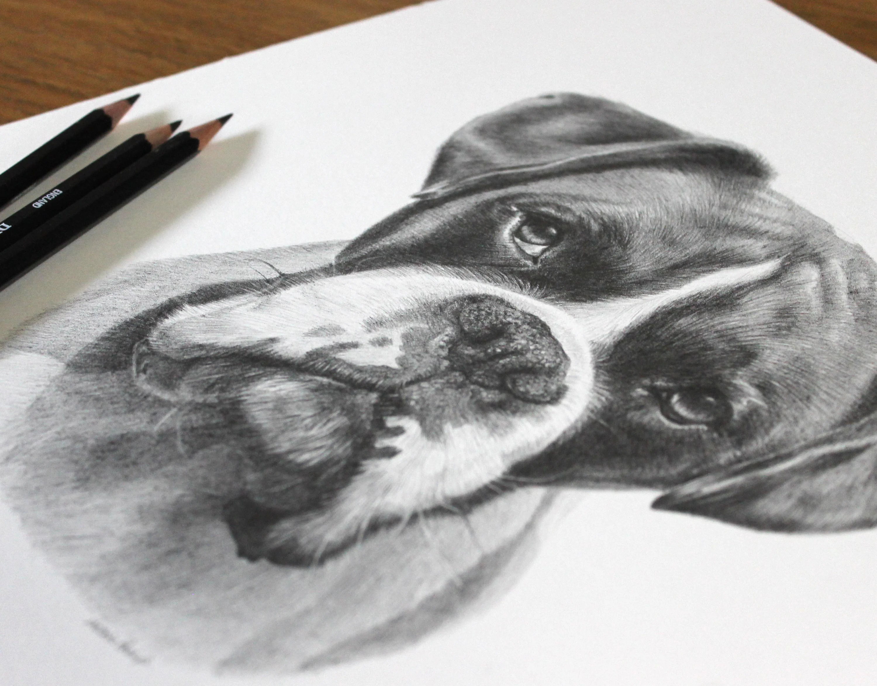 Boxer Dog Pencil Portrait by Melanie Phillips – Graphite Pet Drawing Graphite pencil portrait of a Boxer dog, showcasing fine detail, with black pencils resting beside the artwork.